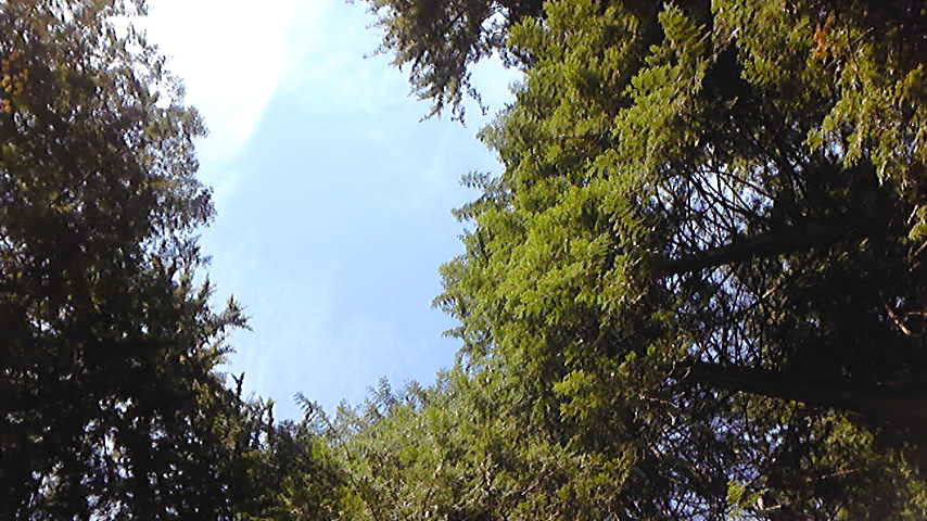 a0098307_5331.jpg