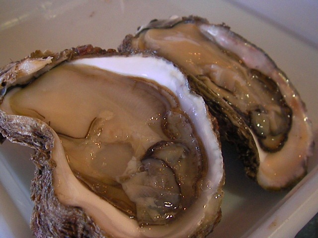 f0038407_1155844.jpg