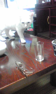 c0180209_23204441.jpg