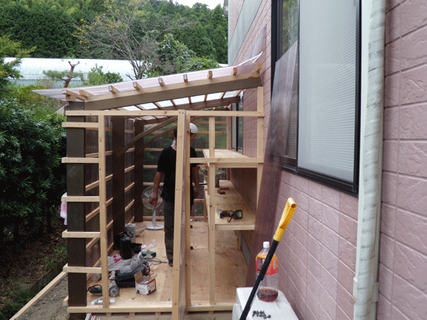 b0159611_236566.gif