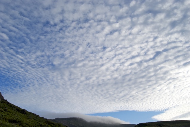 c0153411_123751100.jpg