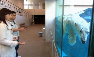 男鹿水族館の印象　～　理念と現実の狭間で_a0151913_15522476.jpg