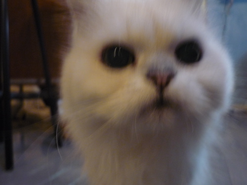 c0188814_021431.jpg
