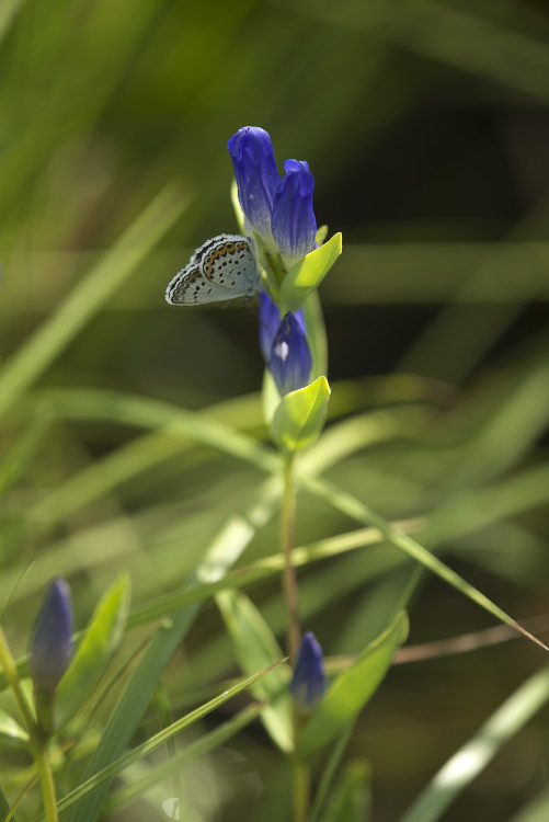 日光と花之江の郷_f0010717_2204186.jpg