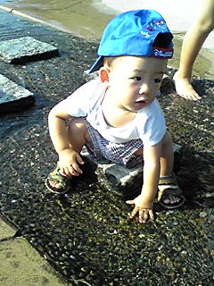 c0163323_091769.jpg