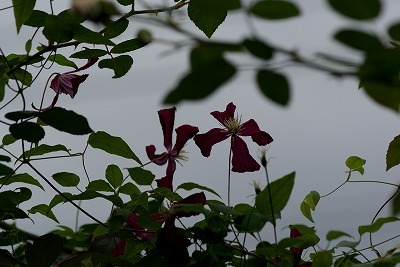 f0170524_11135673.jpg
