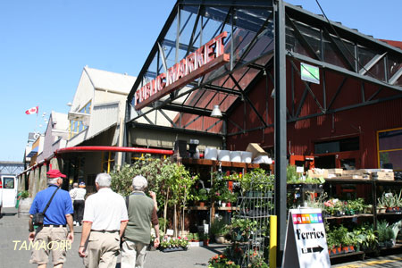 c0024729_20404894.jpg