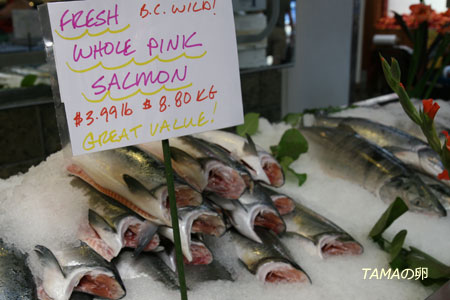 c0024729_20415750.jpg