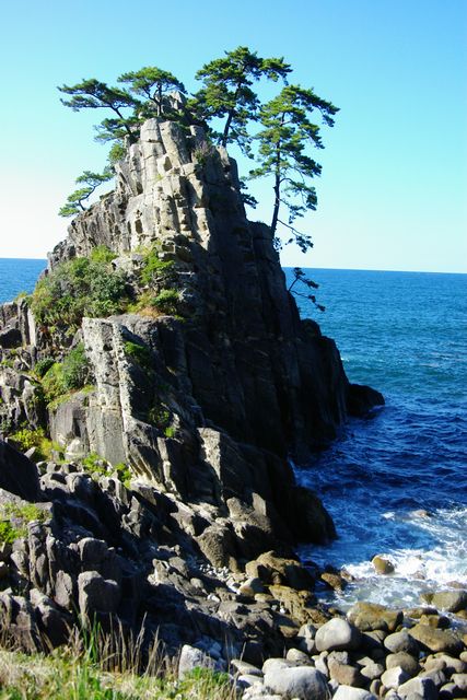 f0145933_20153943.jpg
