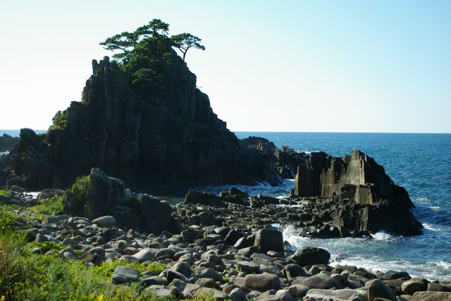 f0145933_20155559.jpg
