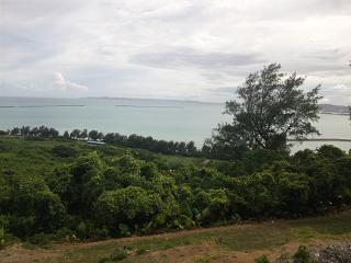b0184437_373977.jpg