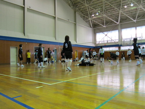 d0156438_8454366.jpg
