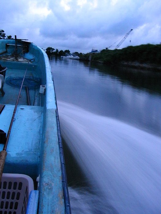 b0165444_949127.jpg