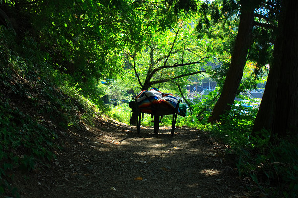 Namakemono Summer Camp In Lake on Mountain_c0228945_5424978.jpg