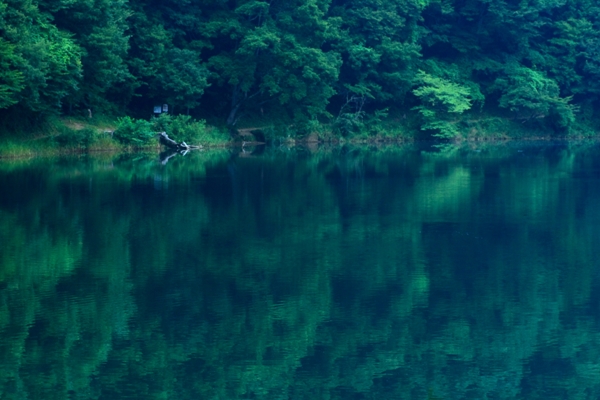 Namakemono Summer Camp In Lake on Mountain_c0228945_628896.jpg