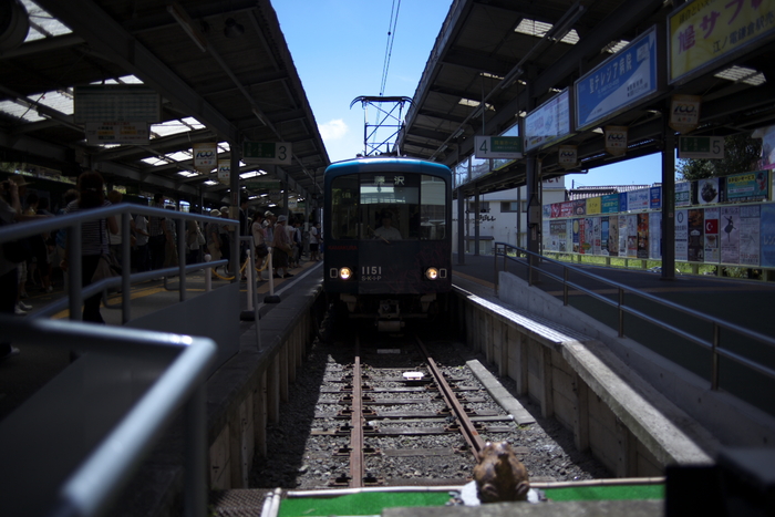 d0001745_493280.jpg