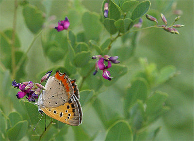f0214649_50202.jpg