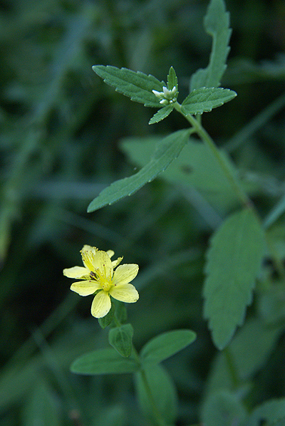 f0214649_5427.jpg