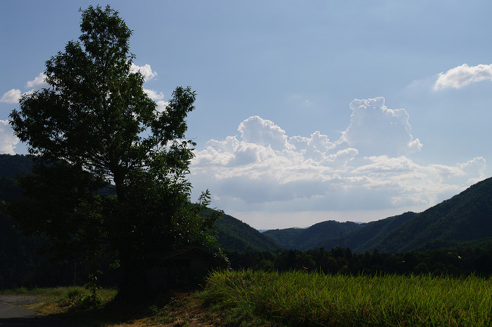 f0152550_2135933.jpg