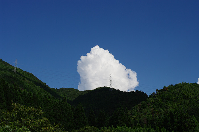f0152550_21441.jpg