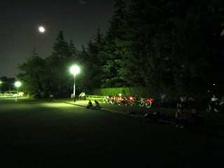 c0047856_65147.jpg