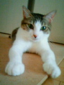 c0052756_18442538.jpg