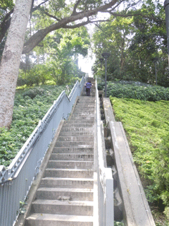 香港散歩日記_b0151059_1795876.gif