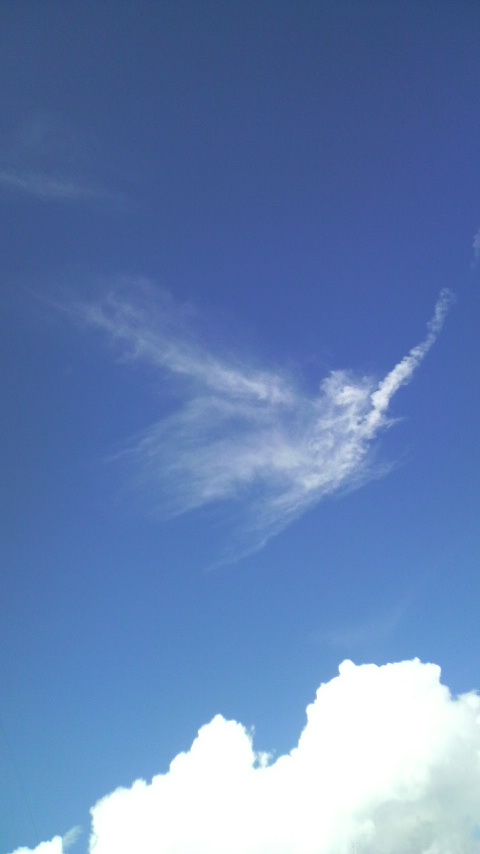 c0147261_2222823.jpg