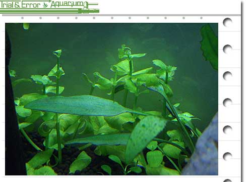 c0218063_2064063.jpg