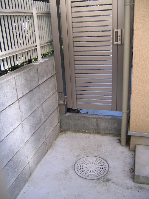 今日のとらきち 定点猫写真 _c0166765_1120412.jpg
