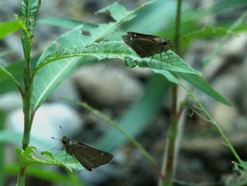 f0208666_13442435.jpg
