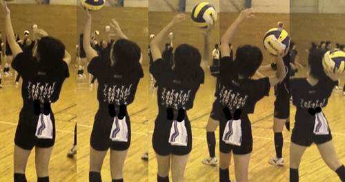茨城_c0000970_10192826.gif