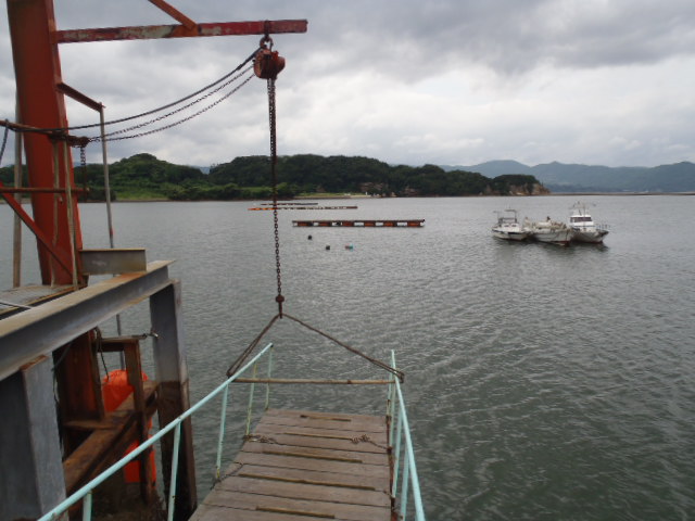 台風対策ばい_a0077071_16553852.jpg