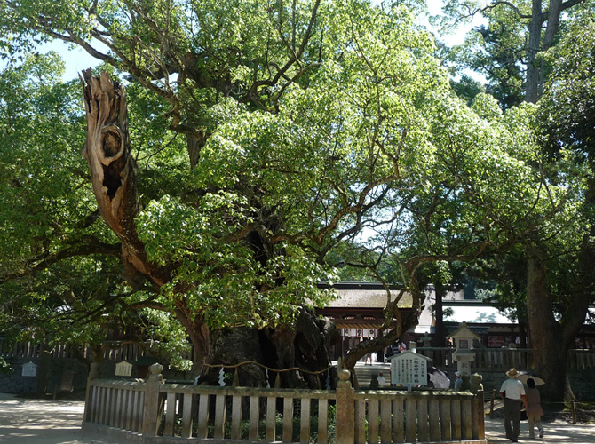 １年ぶりの大山祇神社_e0165472_21233220.jpg