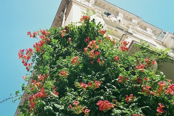 f0046982_19302664.jpg
