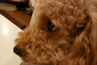 2010年9月6日 都内の温度って_b0098584_22251994.jpg