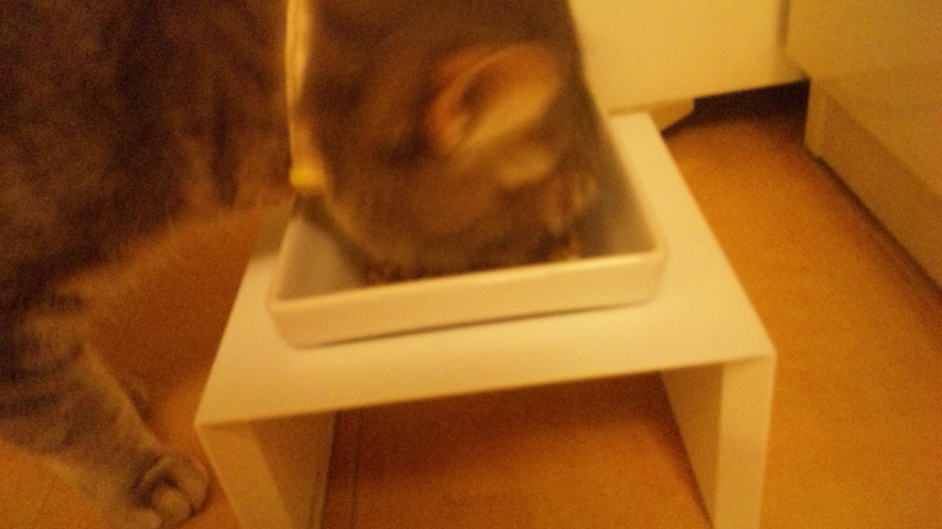 c0180885_1013458.jpg