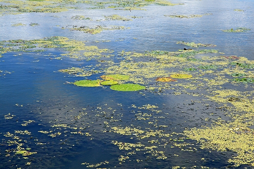 e0190885_200062.jpg