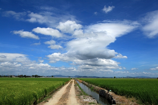 e0190885_20055100.jpg