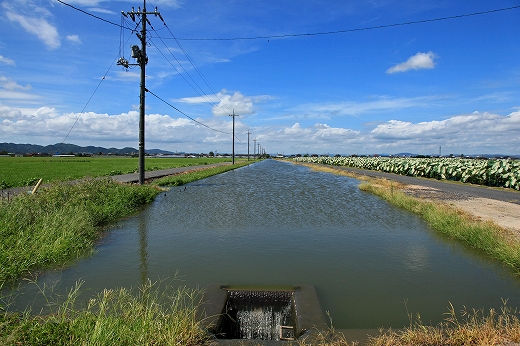 e0190885_2011059.jpg