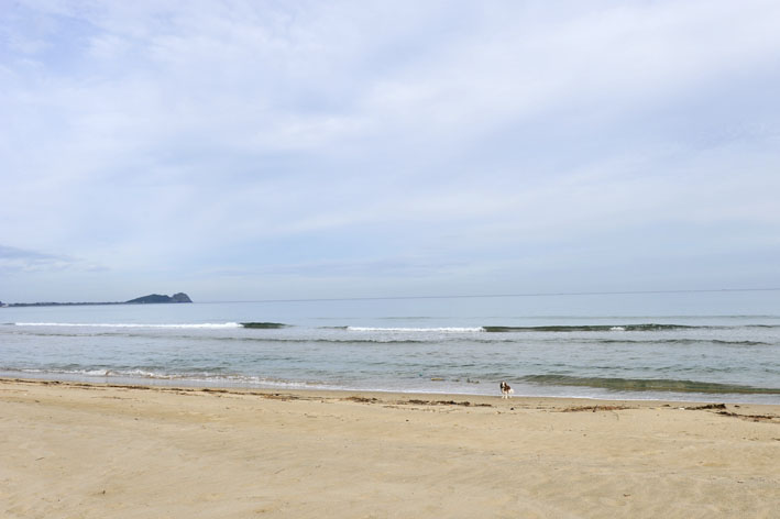 f0112087_17163525.jpg
