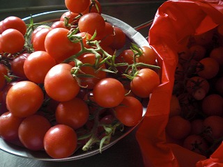 e0152990_1242322.jpg