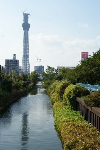 猛暑の中の東京スカイツリー・ツアー　その１_f0064192_2332840.jpg