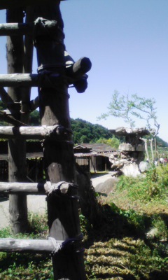 f0168392_128263.jpg