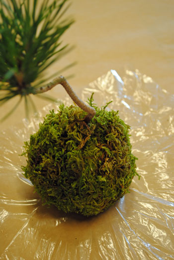 f0223594_223848.jpg