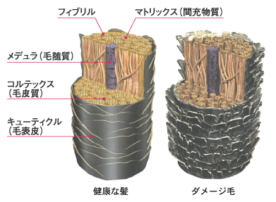 アルカリについて_f0216597_13465486.gif