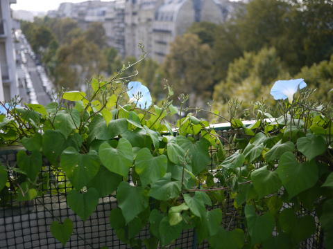 c0090198_2384648.jpg