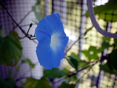 c0090198_242260.jpg