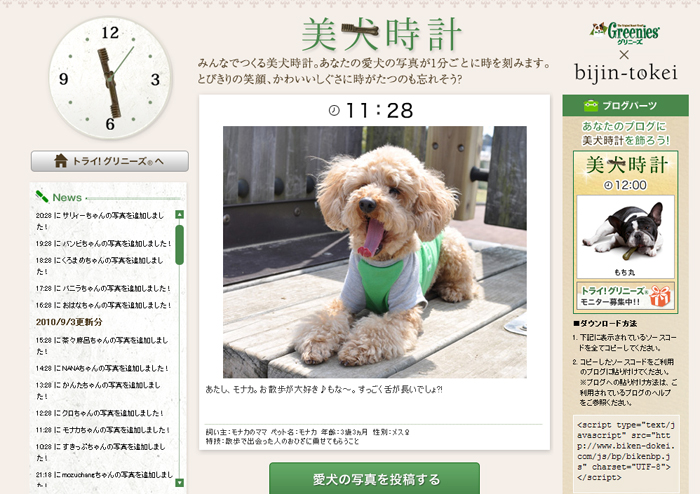 美犬時計の11時28分を見てね もな モナカの散歩