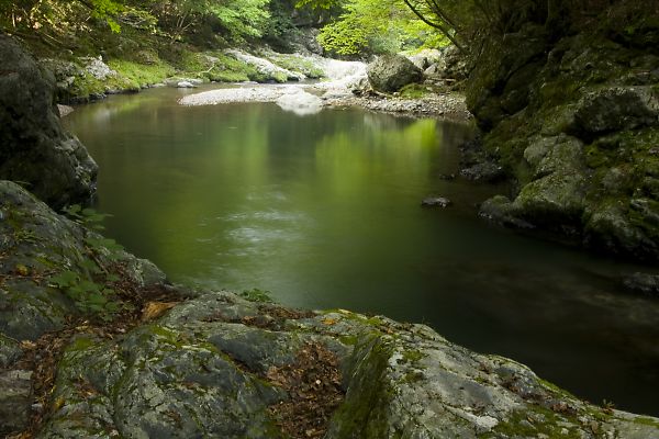 e0193503_16221814.jpg